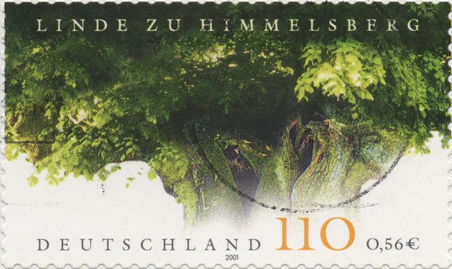 Bild1