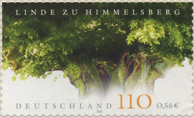 Bild2