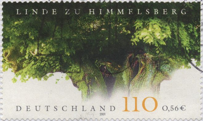 Bild3