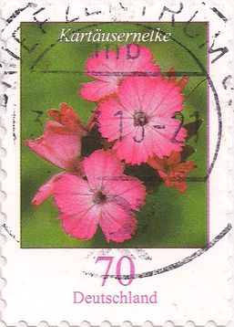 Bild1
