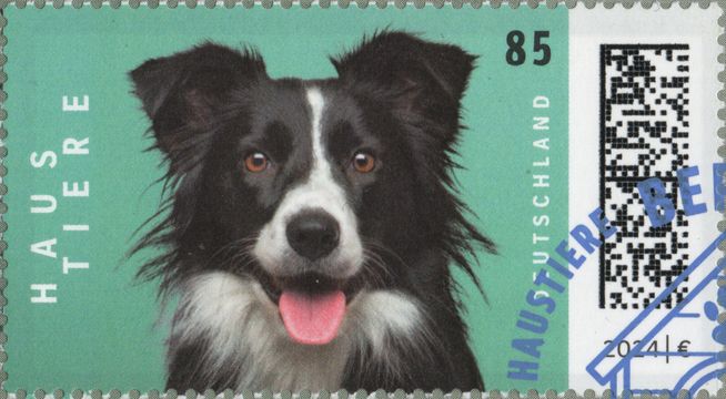 Bild1