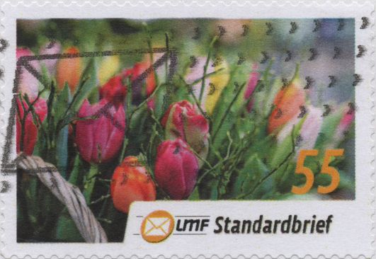 Bild1